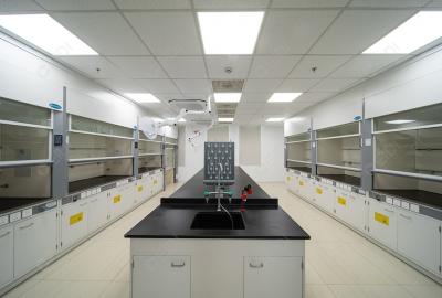 GE醫(yī)療將在第六屆進博會上展示全球首個基于分子影像技術(shù)的胰腺癌精準診治解決方案